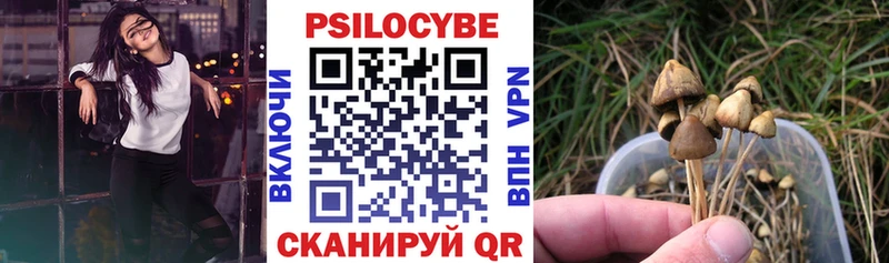 Псилоцибиновые грибы GOLDEN TEACHER  как найти закладки  гидра ССЫЛКА  Котлас 