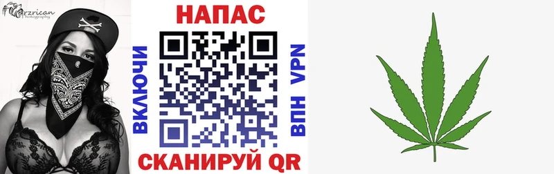 где найти наркотики  Котлас  Конопля марихуана 